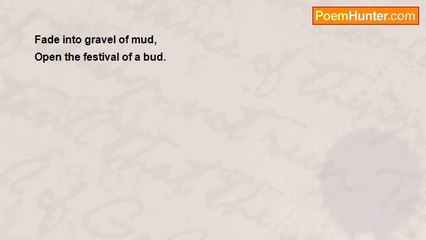 Naveed Akram - Gravel and Mud