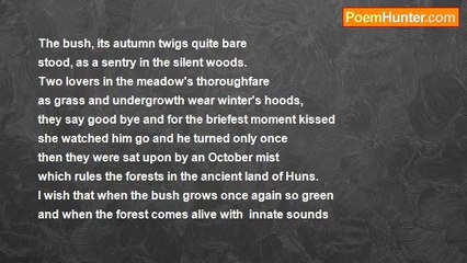 Herbert Nehrlich 2 - In The Forest