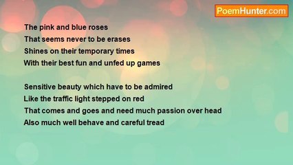 Luwi Habte - Roses