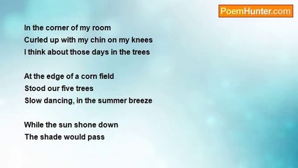 Donna Elouise James - Days in the trees