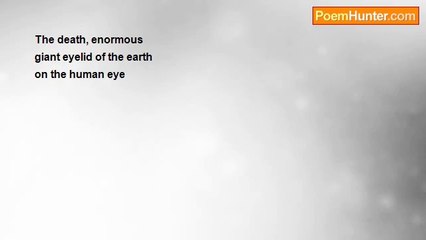 Nizamettin Esen Haymanali - An eyelid  (haiku)