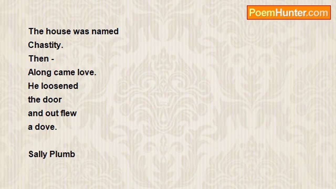 Sally Plumb Plumb - Love