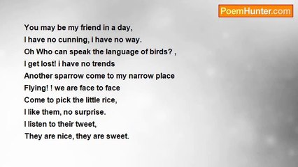 khaled Elbalishy - The prison of love