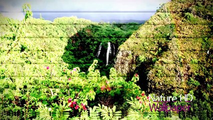 Free Download Hd Wallpapers For Laptop - Best Wallpaper Site For PC