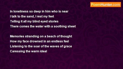 Sammy Edrisi - The Beach Who Bared