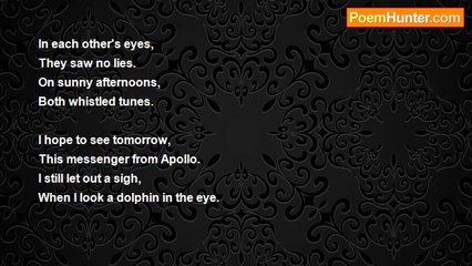 Stephen Katona - The Dolphin Rider