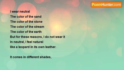 Birgitta Heikka - I Wear Neutral