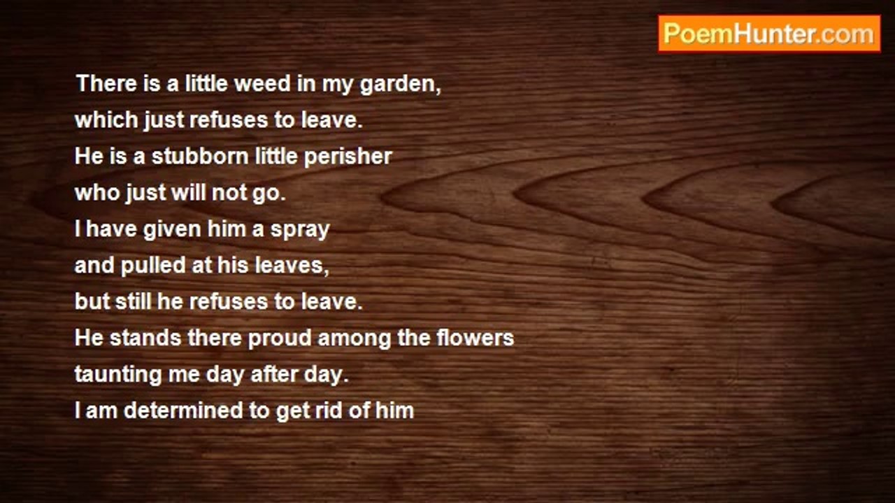 David Harris - A Little Weed (Fun Poem 116)