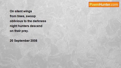 David Harris - Night Hunter