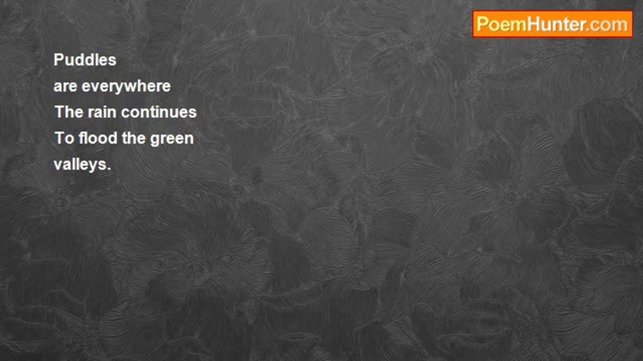 Heather burns - Cinquain Puddles