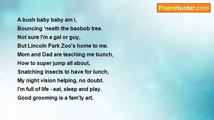 Ima Ryma - Bush Baby Baby - Lincoln Park Zoo