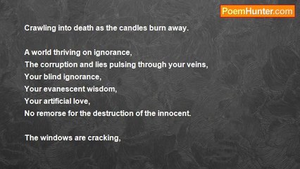 Michael Robertson - Six Flowers