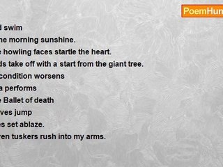 Syed Ahmed Shah - Schizophrenia By Deepa Thakuria (Translated From Assamese)