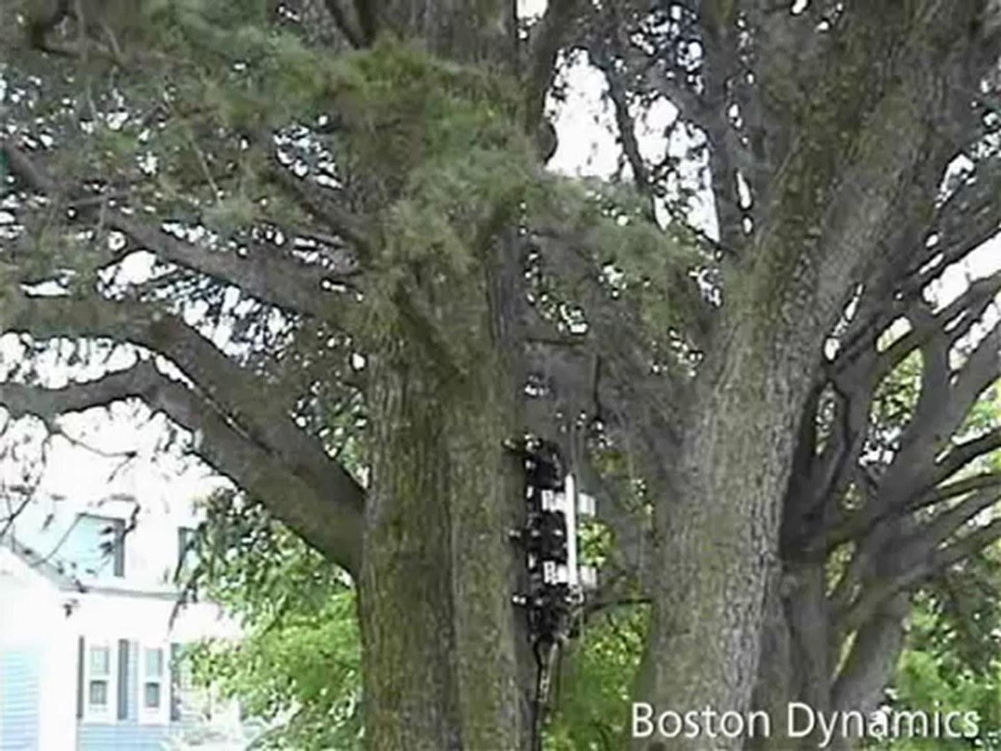 boston dynamics rise