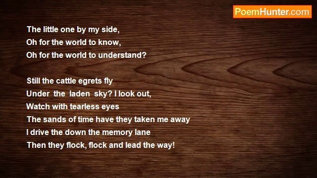 Suriya ... - Still the cattle egrets fly