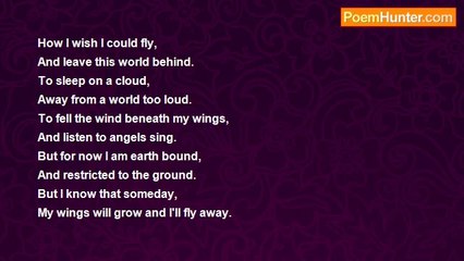 Krystal Whinery - Wings