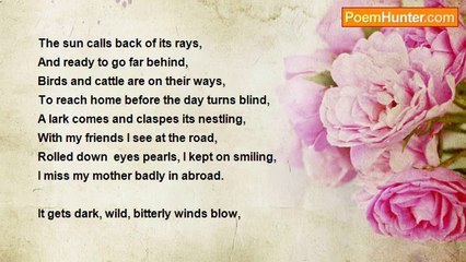 Mohammad Muzzammil - A Dusk In Nepal (at returning from there)