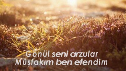 SevDim Seni GöNüLden Adin Düşmüyor DiLden