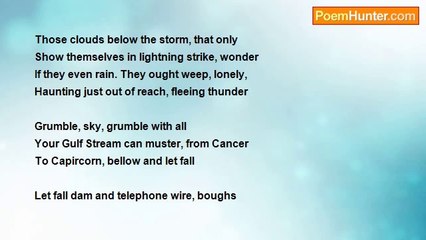 Tim Cronin - Ode to a Storm