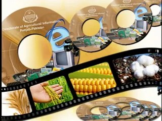 Documentary Film on Directorate of Agricultural Information Punjab