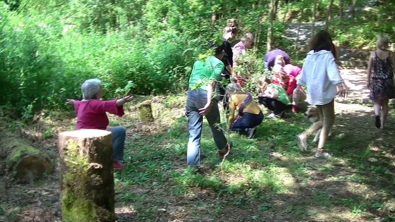 festival des bords de Vire préliminaires