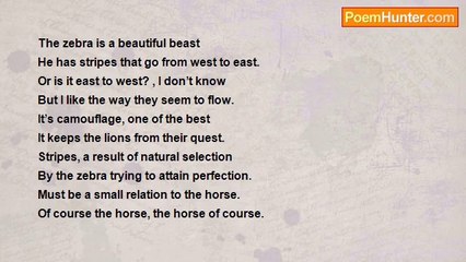 George Hunter - 001-The Zebra