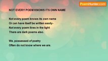 Shalom Freedman - Not Every Poem Knows Its Own Name