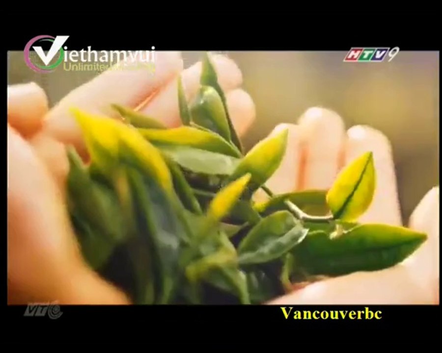VANCOUVERBC-DUONGHOANGLACBUOC20