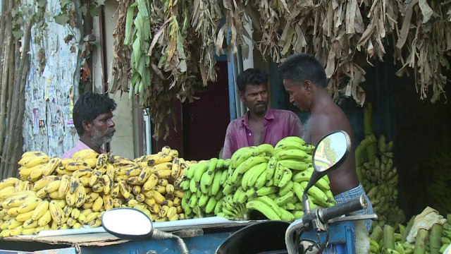 Boom du tourisme médical en Inde, retour des médecins émigrés