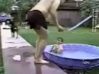 Dünya'nın En İlginç ve En Komik Kazaları