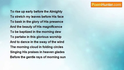 Oyekake Satty Joshua - My Outstretched Leaves