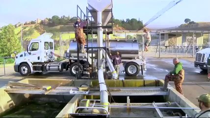 Salmon migrate by truck during Calif. drought