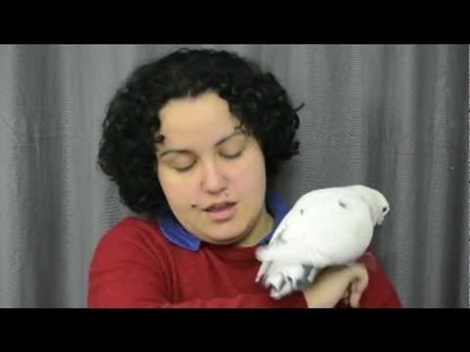 FAQ do EuTestei - Volume 4 - VÍDEO Nº 100!