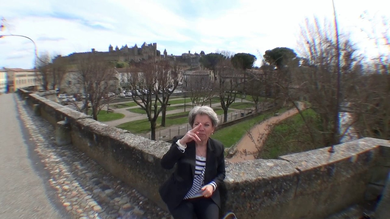 Circuit groupe Carcassonne et le Pays Cathare avec Ode guide en LSF