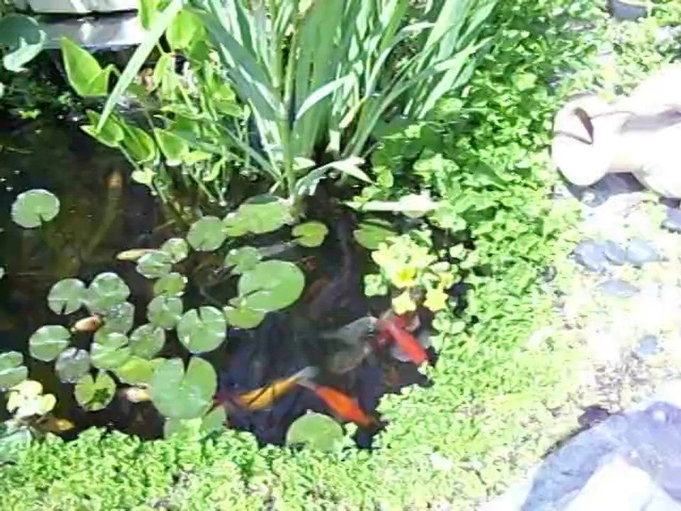 le bassin de françoise