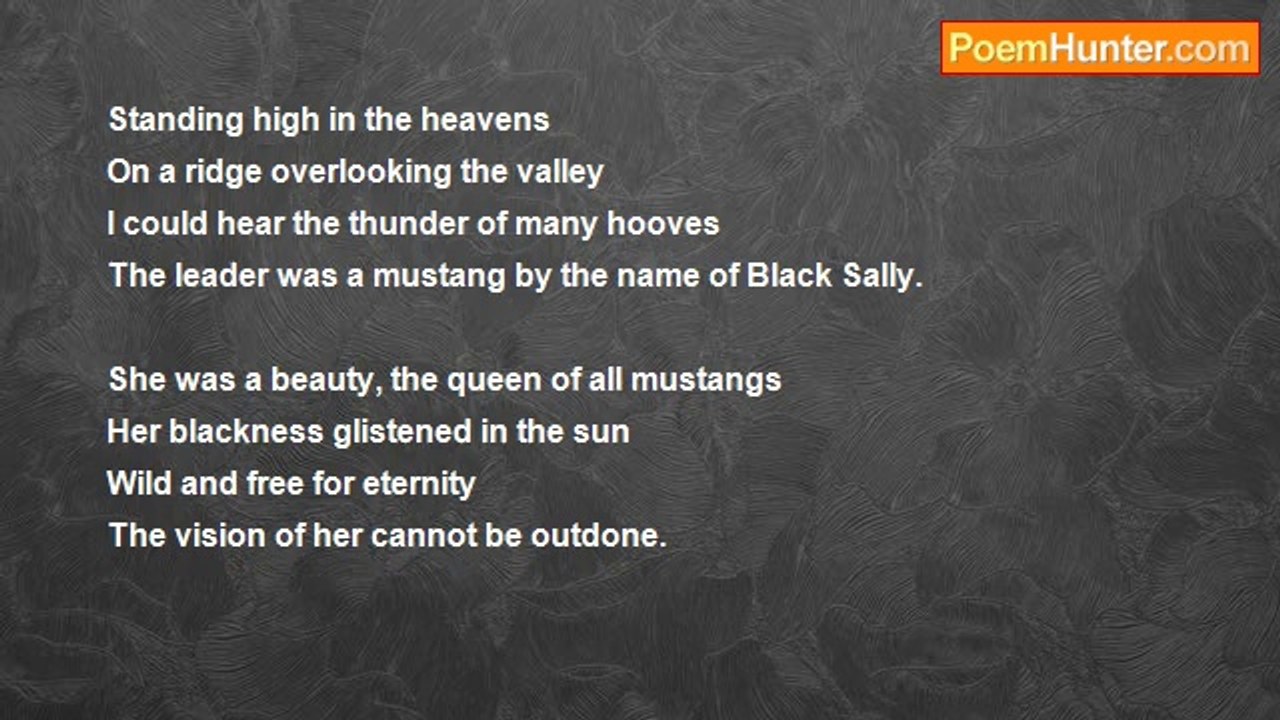 Mimie Durand - Black Sally