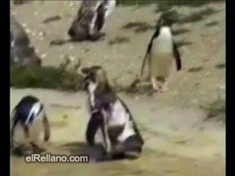 Aller-retour au boulot...