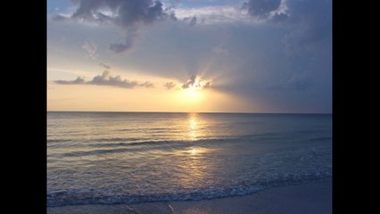 Danny Sawrij | The landfill issue in the UK