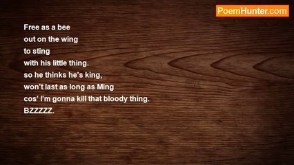 George BernardBloodyShaw - The little B's