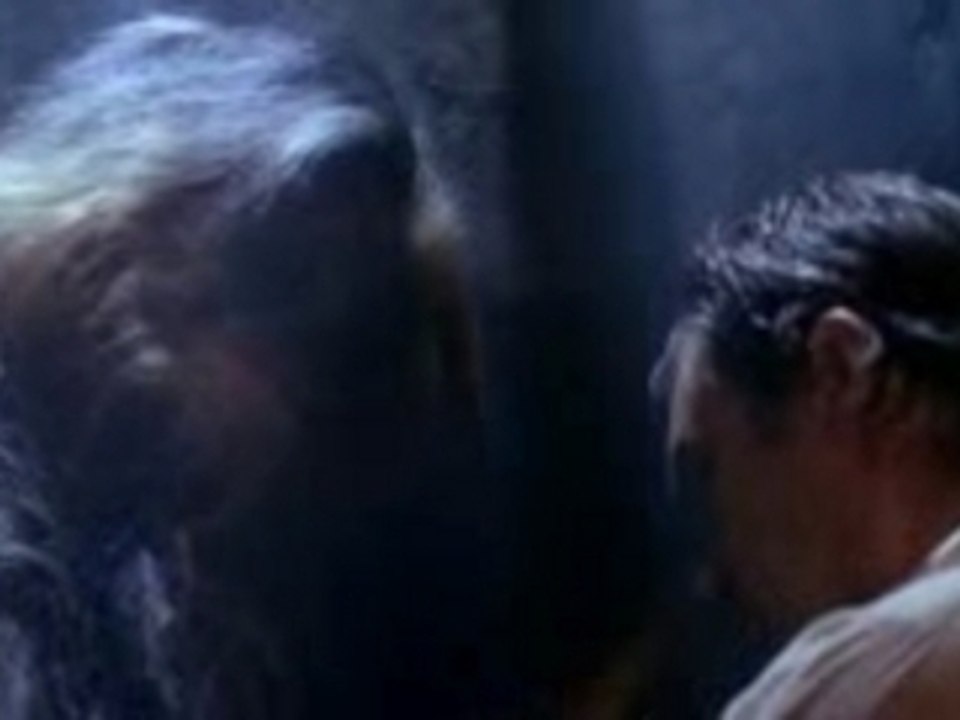 Chewbacca.se.sent.solo
