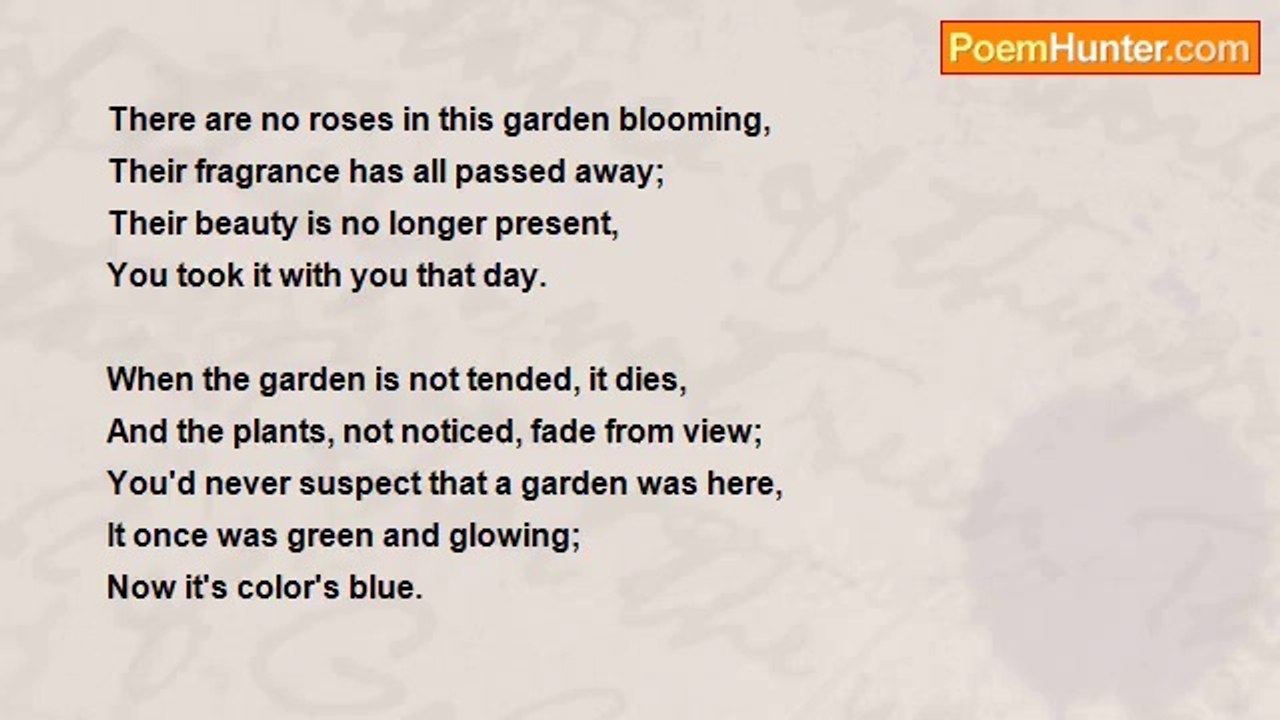 david lessard - No roses blooming...