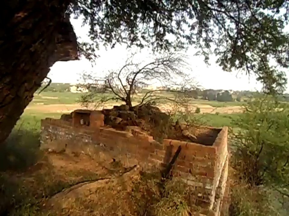 SAM_1415