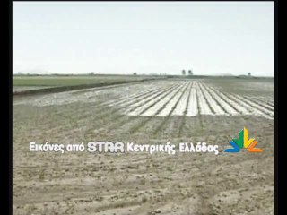 Βοιωτία: Καταστροφές από βροχή και χαλάζι