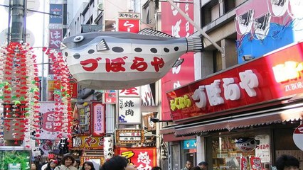 Japon Le pays du soleil levant (PP720)