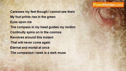 Guillermo Veloso - Dark Muse