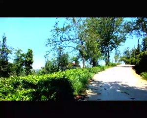 Kocatepe köyü 2014 Hazıran(1)