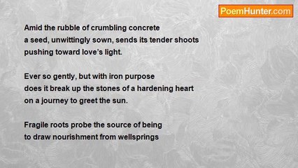 Deborah Downes - Wildflower