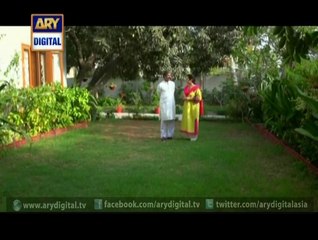 Babul Ki Duaen Leti Ja Ep - 33 - 16th June 2014