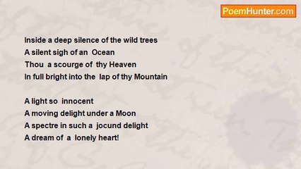 Shamik Bose - wild jasmine