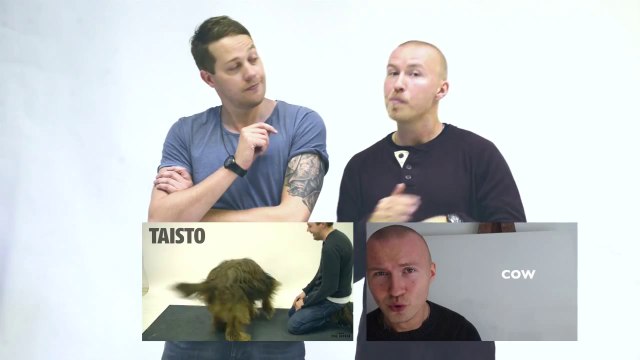 Comment les chiens réagissent au aboiements d'humains !